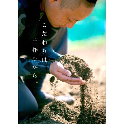 コウ果樹園の「【和製グレープフルーツ】“河内晩柑”」7kg【C33-18】