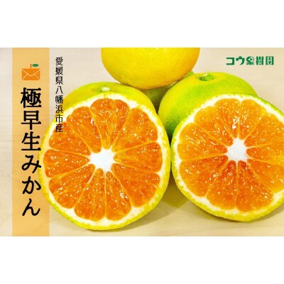 コウ果樹園「極早生みかん」5kg【C33-6】