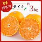 コウ果樹園の「柑橘の大トロ　せとか3kg」【C33-1】
