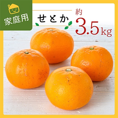 コウ果樹園の家庭用【せとか】3.5kg【C33-31】