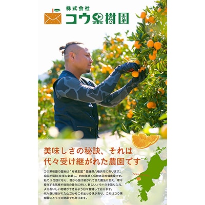 コウ果樹園の家庭用【せとか】3.5kg【C33-31】