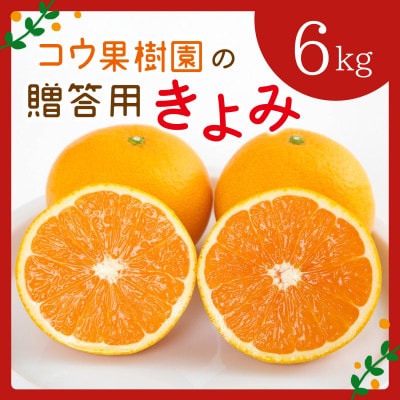 コウ果樹園の贈答用きよみ6kg【C33-36】