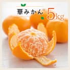 コウ果樹園の華みかん5kg【A33-38】