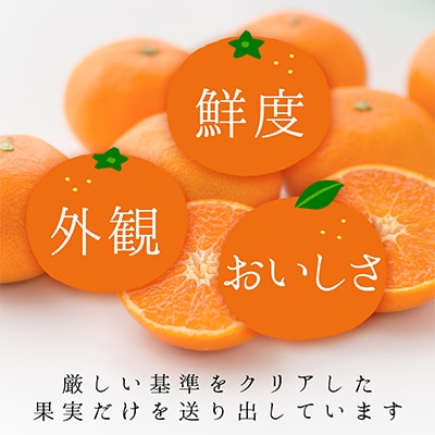 コウ果樹園の華みかん5kg【A33-38】