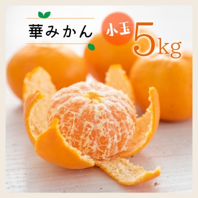 コウ果樹園の華みかん小玉5kg【C33-37】