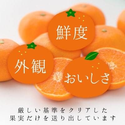 コウ果樹園の【厳選】「甘平」2kg【A33-49】