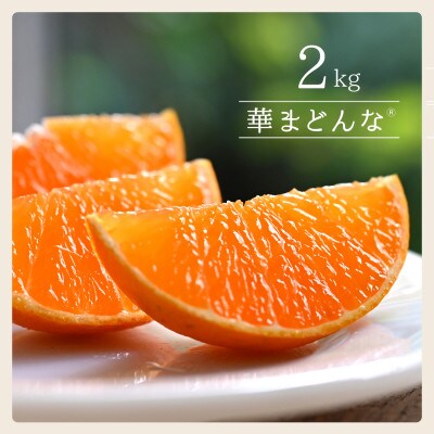 コウ果樹園「華まどんな」2kg【A33-50】