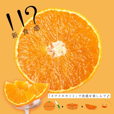 コウ果樹園「華まどんな」2kg【A33-50】