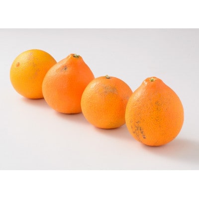 コウ果樹園「華まどんな」家庭用3.5kg【33-51】
