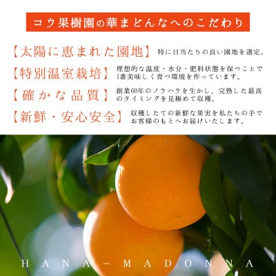コウ果樹園「華まどんな」家庭用3.5kg【33-51】