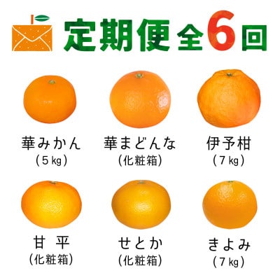 【発送月固定定期便】コウ果樹園の旬の柑橘定期便(11月-4月)【H33-40】全6回