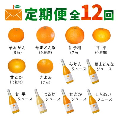 【発送月固定定期便】コウ果樹園の旬の柑橘定期便(11月-10月)【H33-41】全12回
