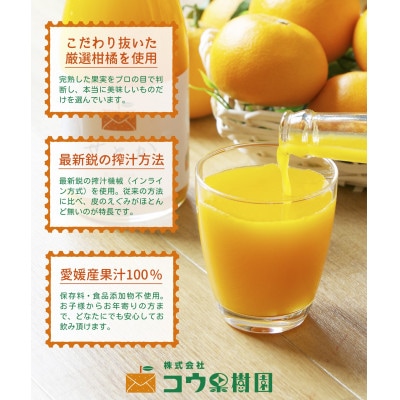 【発送月固定定期便】コウ果樹園の旬の柑橘定期便(11月-10月)【H33-41】全12回