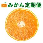 【発送月固定定期便】愛媛県限定柑橘定期便【G33-43】全2回