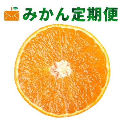 【発送月固定定期便】ボリューム定期便【H33-45】全5回