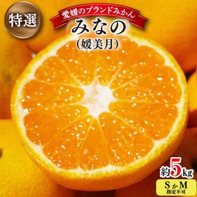 【2024年11月以降発送】みなの共選・特選「みなの(旧:媛美月)」約5kg【D28-1】