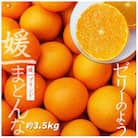 【2025年11月以降発送】ゼリーのような食感!「媛一まどんな」約3.5kg入【D28-22】