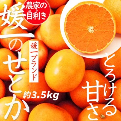 愛媛の高級柑橘の代名詞!「せとか」約3.5kg入【C28-18】