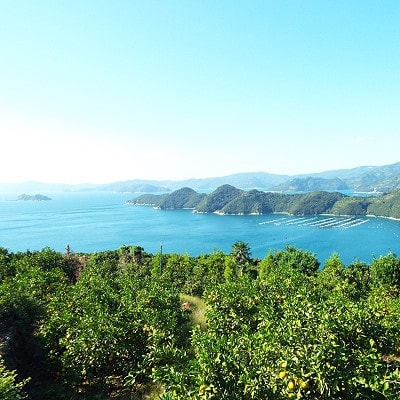 【2024年11月以降発送】濃厚な味わい「和」なごみ(みなの共選・家庭用)約5kg【C28-28】
