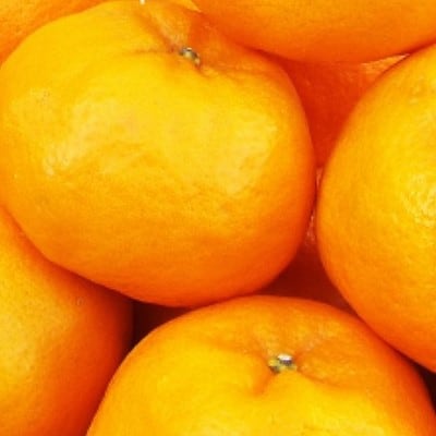 若水の香りきわ立つ「西宇和ポンカン」約4kg【C28-4】