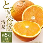 あふれる果汁と濃厚な甘み!「清見」5kg入【C28-21】