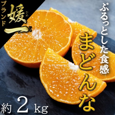 【2026年11月以降順次発送】ゼリーのような食感!「媛一まどんな」約2kg入【28-44】