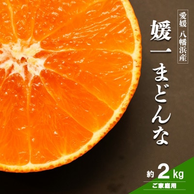【2026年11月以降順次発送】ゼリーのような食感!「媛一まどんな」約2kg入【28-44】