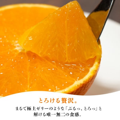 【2026年11月以降順次発送】ゼリーのような食感!「媛一まどんな」約2kg入【28-44】