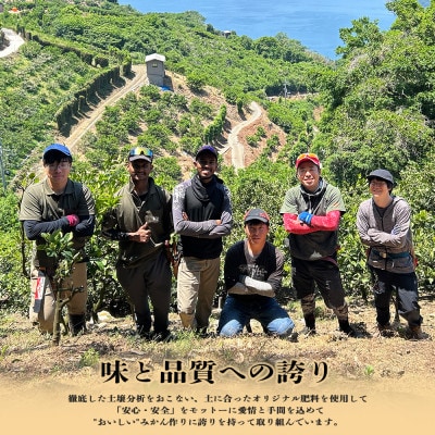 【2026年11月以降順次発送】ゼリーのような食感!「媛一まどんな」約2kg入【28-44】