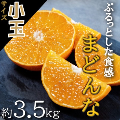 【2026年11月以降順次発送】ゼリーのような食感!「媛一まどんな」小玉約3.5kg入【28-46】