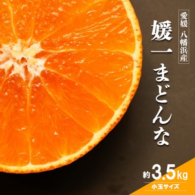 【2026年11月以降順次発送】ゼリーのような食感!「媛一まどんな」小玉約3.5kg入【28-46】