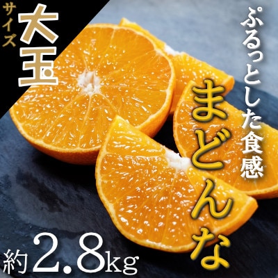 【2026年11月以降順次発送】ゼリーのような食感!「媛一まどんな」大玉約2.8kg入【28-45】