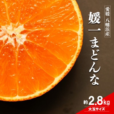 【2026年11月以降順次発送】ゼリーのような食感!「媛一まどんな」大玉約2.8kg入【28-45】