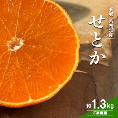 愛媛の柑橘の代名詞!「せとか」約1.3kg入【28-43】