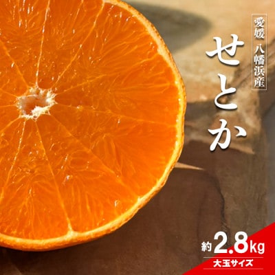 愛媛の柑橘の代名詞!「せとか」大玉約2.8kg入【28-48】