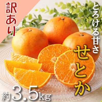 愛媛の柑橘の代名詞!「せとか」訳あり約3.5kg入【28-49】