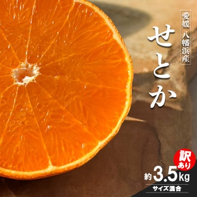 愛媛の柑橘の代名詞!「せとか」訳あり約3.5kg入【28-49】