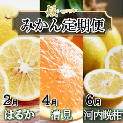 【発送月固定定期便】愛媛が誇る旬の柑橘めぐり(はるか・清見・河内晩柑)【28-53】全3回