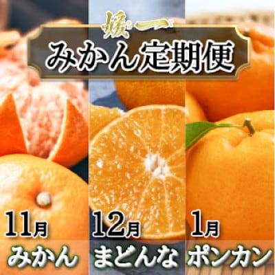 【発送月固定定期便】愛媛が誇る旬の柑橘めぐり　みかん・まどんな・ポンカン【28-56】全3回