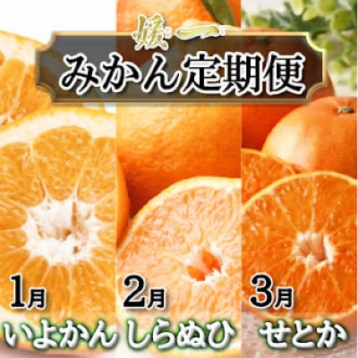 【発送月固定定期便】愛媛が誇る旬の柑橘めぐり　(いよかん・しらぬい・せとか)【28-54】全3回