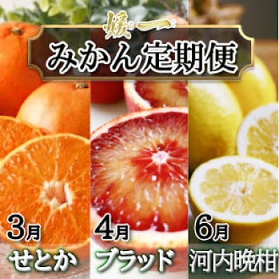 【発送月固定定期便】愛媛が誇る旬の柑橘めぐり(せとか・ブラッド・河内晩柑)【28-55】全3回
