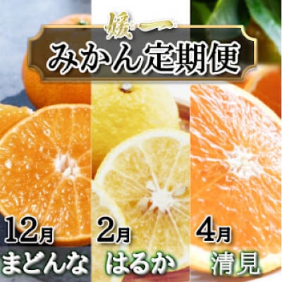 【発送月固定定期便】愛媛が誇る旬の柑橘めぐり(媛一まどんな・はるか・清見)【28-57】全3回