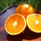 杉本果樹園の清見タンゴール 5kg【C34-13】