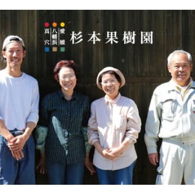 【2025年1月以降順次発送】〈特選〉真穴、杉本果樹園の八寿みかん(普通温州)3kg【C34-30】