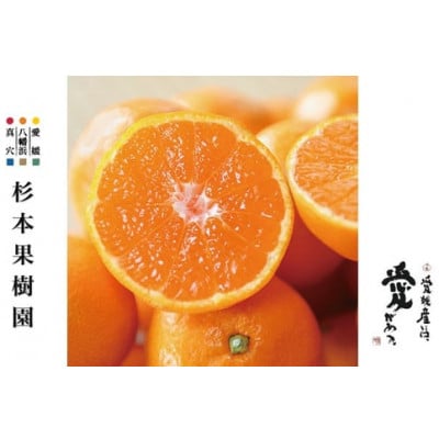 【家庭用】真穴、八寿みかん(早生温州)3kg【A34-37】