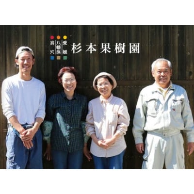 【家庭用】真穴、八寿みかん(早生温州)3kg【A34-37】