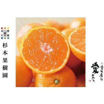 【家庭用】真穴、八寿みかん(早生温州)5kg【C34-38】