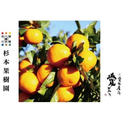 【家庭用】真穴、八寿みかん(早生温州)5kg【C34-38】