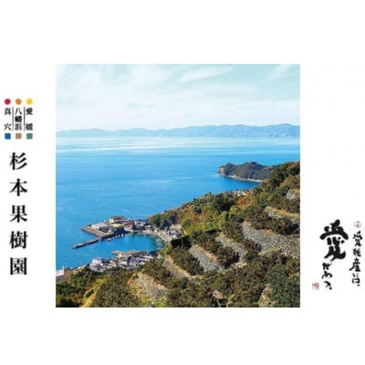 【家庭用】真穴、八寿みかん(早生温州)5kg【C34-38】