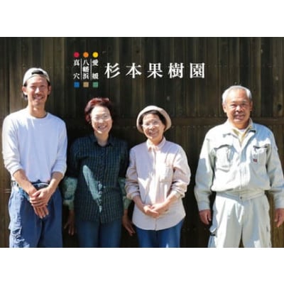 【家庭用】真穴、八寿みかん(早生温州)5kg【C34-38】